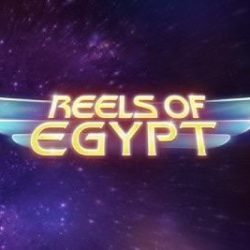 بكرات مصر