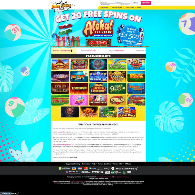 totally free Spins Bingo screenshot 1