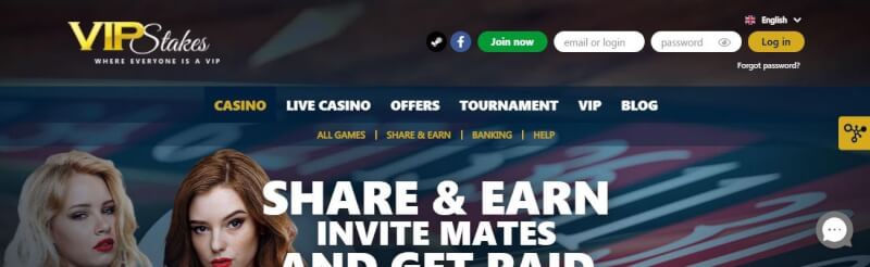 vip stakes support choices review-logo